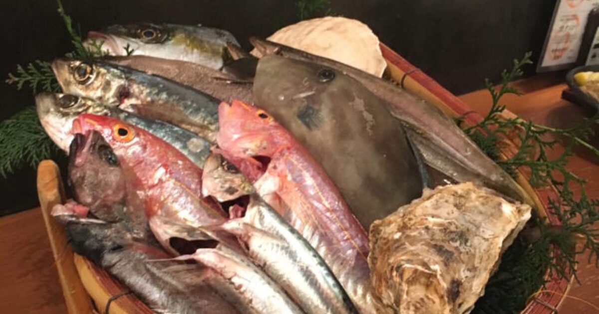 おさかなや 魚魚権 神泉店 神泉 居酒屋 ネット予約可 食べログ おさかなや 魚魚権 神泉店 神泉 居酒屋 ネット予約可 食べログ