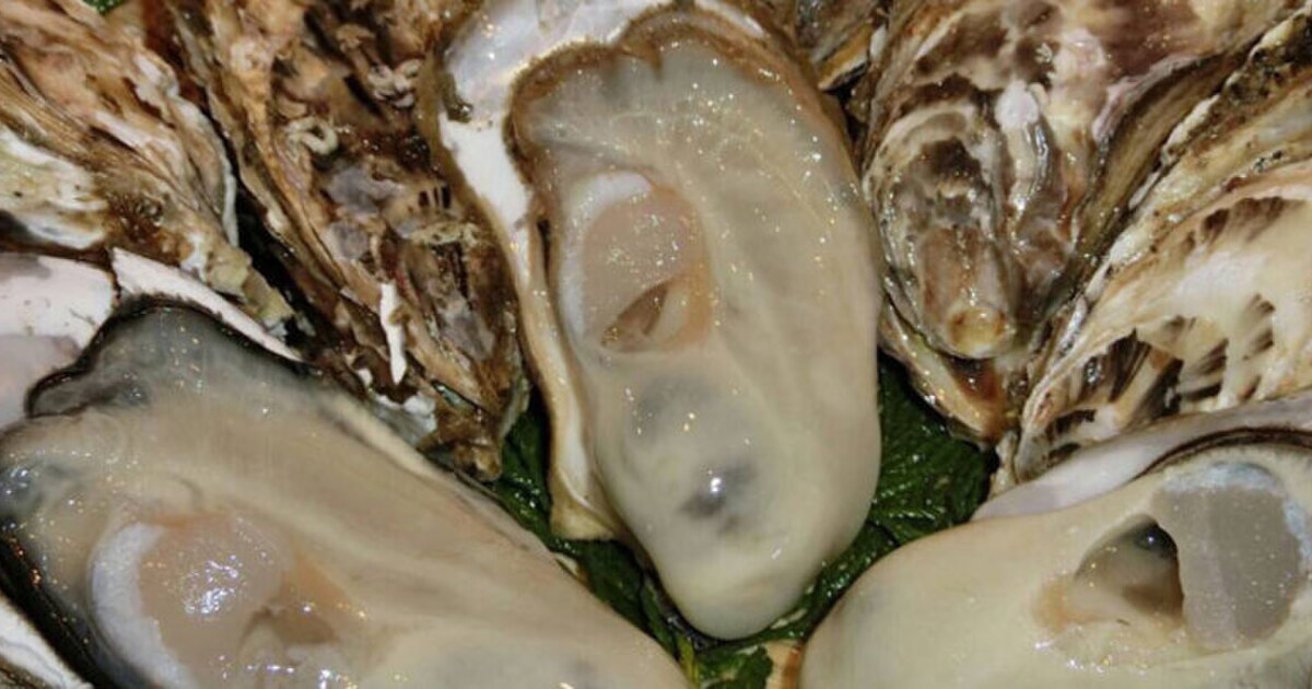 殻付き牡蠣の正しい食べ方は 食べ放題のお店や新鮮牡蠣のオススメ地域をご紹介 食べログまとめ