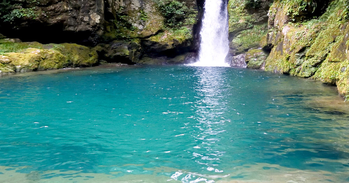 南国サービスエリア 上り線 スナックコーナー 土佐大津 その他 食べログ