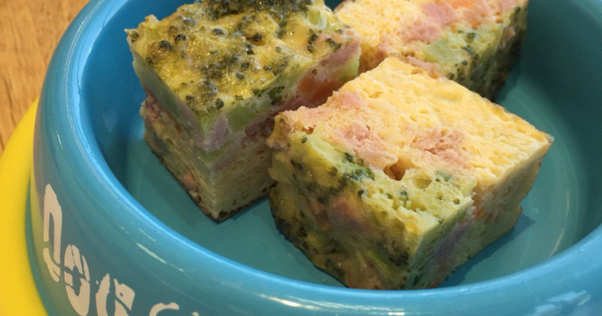 軽井沢で愛犬を連れて入れるおすすめのカフェ8選 食べログまとめ