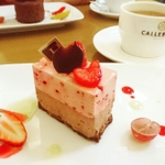 松山のカフェでゆったりケーキを！おすすめの人気店8選