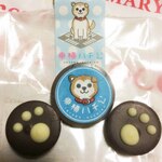 【はち☆コレ Part 2】東横ハチ公コレクション・2015　～ 愛されハチ公の芸術的なお菓子達 ～