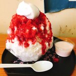 かき氷の激戦区！栃木で人気のかき氷店20選