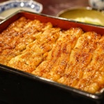 銀座エリアで味わいたいウナギ19選！エリア別に紹介