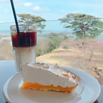 松島に行ったらカフェでひと休み！絶景カフェなどおすすめ10選