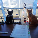 【宮城】生ねこいないけど、ご店主とねこ談義できる18店（ヨウジロウ版）