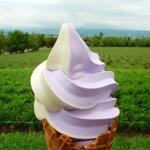 北海道でソフトクリームならここ！観光にもおすすめ15選