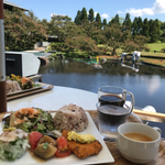 京都水族館周辺の絶品レストラン13選 和食や洋食の人気店 食べログまとめ 京都水族館周辺の絶品レストラン13選 和食や洋食の人気店 食べログまとめ