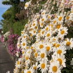 【マイベス2020 】samasamaがお気に入りなラーメン店を発表！