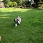 わんこといっしょ♡　②　ー旅行編ー