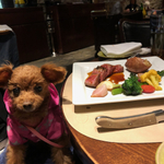 東京 ペット 愛犬 ワンコ と一緒に食事できるマイベストレストラン カフェ10選 食べログまとめ 東京 ペット 愛犬 ワンコ と一緒に食事できるマイベストレストラン カフェ10選 食べログまとめ