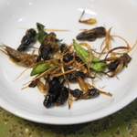 【昆虫食】美味しい昆虫料理10選