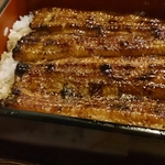 静岡駅周辺で美味しいうなぎを食べるなら！おすすめ店6選