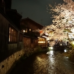 【京都】京都の花見に+α☆夜桜ディナーを楽しめるレストラン