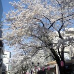 今年は4/4-5♪自由が丘さくら祭りでお花見の後に行きたい素敵カフェ♪