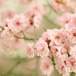 花見の穴場 都会のオアシスうつぼ公園周辺のイタリア料理店 食べログまとめ 花見の穴場 都会のオアシスうつぼ公園周辺のイタリア料理店 食べログまとめ