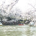 吉祥寺・井の頭公園でお花見するのにお薦めのお店 