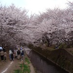 【神奈川県大和市】引地川沿い千本桜で花見をする時、テイクアウトしたい店
