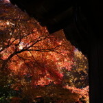 京都で見つけた女子に喜んでもらえるおしゃれなカフェ