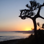 大人のお洒落を探してみませんか！