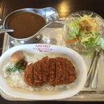 鹿児島市の美味しい欧風カレー13選！専門店やカフェも紹介