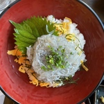 鎌倉の名物グルメ！生しらす丼を堪能できる絶好スポット12選