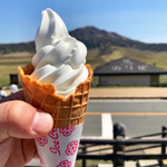 熊本県のデートスポット！立ち寄りたいおすすめのお店30選