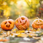 ハロウィンパーティーにおすすめ！渋谷の貸切会場をご紹介します♪
