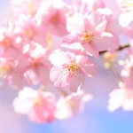 【渋谷×貸切×追いコン】卒業パーティーは貸切で決まり♡大人数OKのおしゃれな会場5選♪