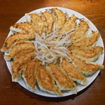 浜松市で絶品餃子を満喫！子連れ利用・友人となどシーン別おすすめ21選