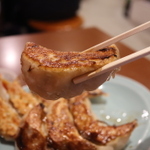 宇都宮市で餃子食べ比べ！効率良く回れるエリア別27選