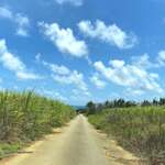 宮古島で歯を黒くするならココ