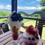 【富山】ブルーベリー食べたい・5店。