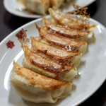 栃木県で餃子！宇都宮市の老舗から進化系餃子まで30選