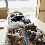 千葉県内の浜焼き10選！海ほたるや鋸山周辺のおすすめ店も