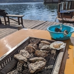 広島県の牡蠣小屋！電車や車で行けるお店など人気10選