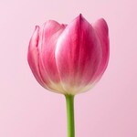 【目黒・貸切・送別会】2025年の最新版！おしゃれな個室＆設備充実の人気店