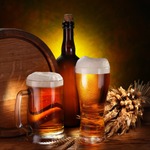 【渋谷×貸切×居酒屋】渋谷で大人数の貸切ができる居酒屋5選ご紹介します♡