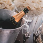 渋谷で貸切できる少人数向けのお店5選｜誕生日・女子会・懇親会におすすめ