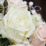 【渋谷×貸切×50人】大人数幹事必見！渋谷で貸切のパーティー・忘年会などを行う際におすすめのお店5選