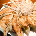 浜松市で浜松餃子！地元民おすすめのお店をエリア別に14選