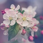 【都内×大人数×卒業パーティー】大切なひとときを♡おしゃれな店おすすめ5選♪