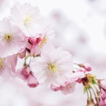 【渋谷×子連れ】卒園・卒業パーティーに！大人数OKな完全貸切パーティールーム5選♪