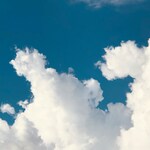 【都内で昼飲み】おしゃれに昼飲み ♡ 貸切で盛り上がるおすすめスポット5選 ♪