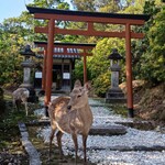 ｢なんかイイ店教えて｣と聞かれたら挙げるMy Favorite