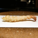 大阪府で楽しむ絶品天ぷら体験！主要エリア別のおすすめ店19選