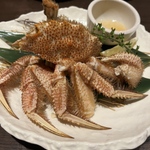 大通駅周辺の居酒屋！北海道食材を楽しめるお店など20選