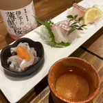 愛媛県松山市の今行きたい人気居酒屋！おすすめの店19選