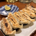 新宿エリアで餃子！絶品メニューを楽しめる人気店13選