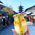 【京都府京都市】美味しいプリンを食べたい！人気店4選